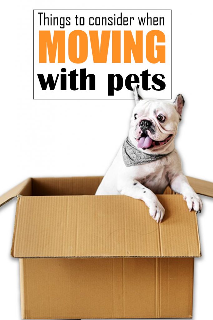 Moving Resources for pets