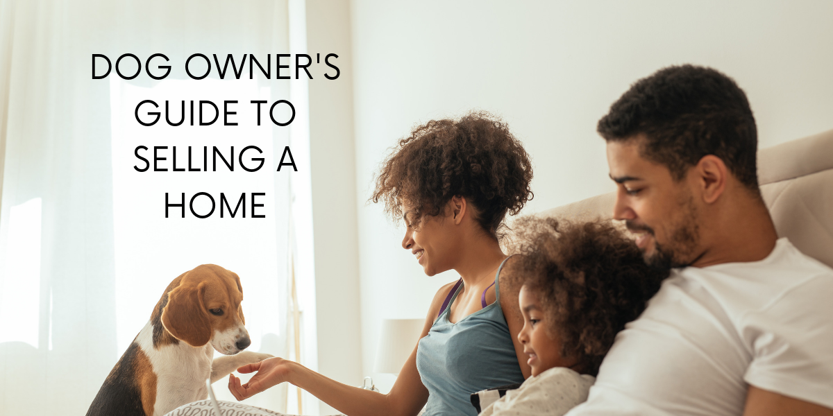 Dog Owner's Guide to Selling a Home Merit Real Estate